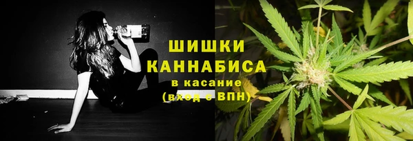 сатива Баксан