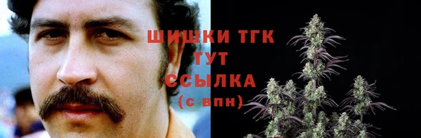 сатива Баксан