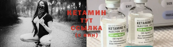 сатива Баксан