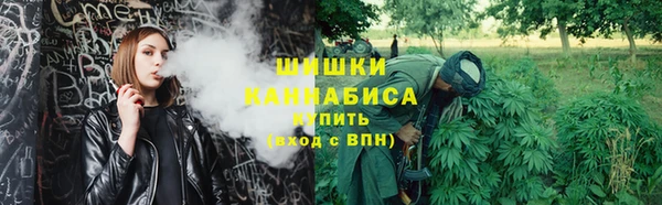 сатива Баксан