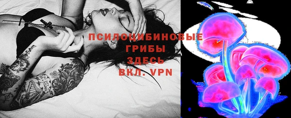 соль ск Балахна