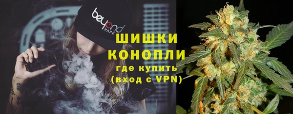 сатива Баксан