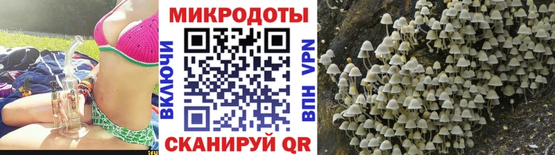 кракен зеркало  сколько стоит  Покровск  Галлюциногенные грибы Cubensis 